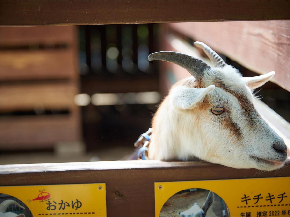 Hotel Murasakimura Yomitan Exteriér fotografie
